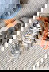 Metaliczne elastyczne sneakersy Norey